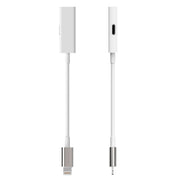 Rayz Pro Lightning Adapter Ice