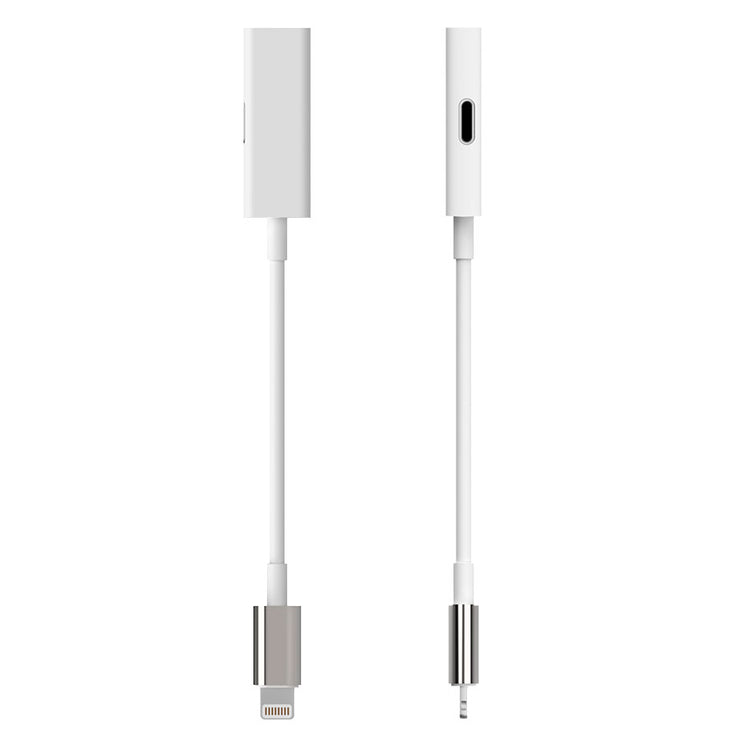 Rayz Pro Lightning Adapter Ice