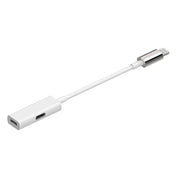 Rayz Pro Lightning Adapter Ice angled
