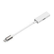 Rayz Pro Lightning Adapter Ice angled