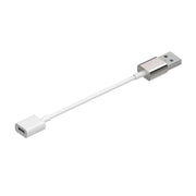 Rayz Pro USB-A Adapter Ice angled