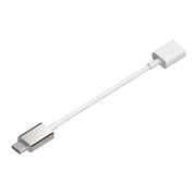 Rayz Pro USB-C Adapter Ice angled