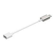Rayz Pro USB-C Adapter Ice angled