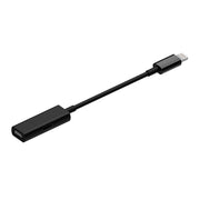 Rayz Pro Lightning Adapter angled