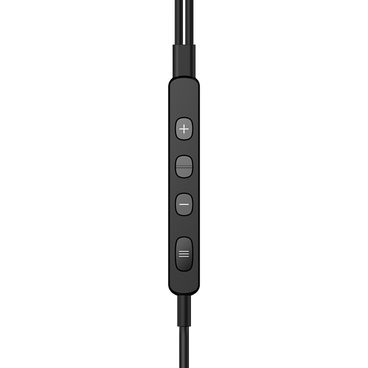 Pioneer rayz discount