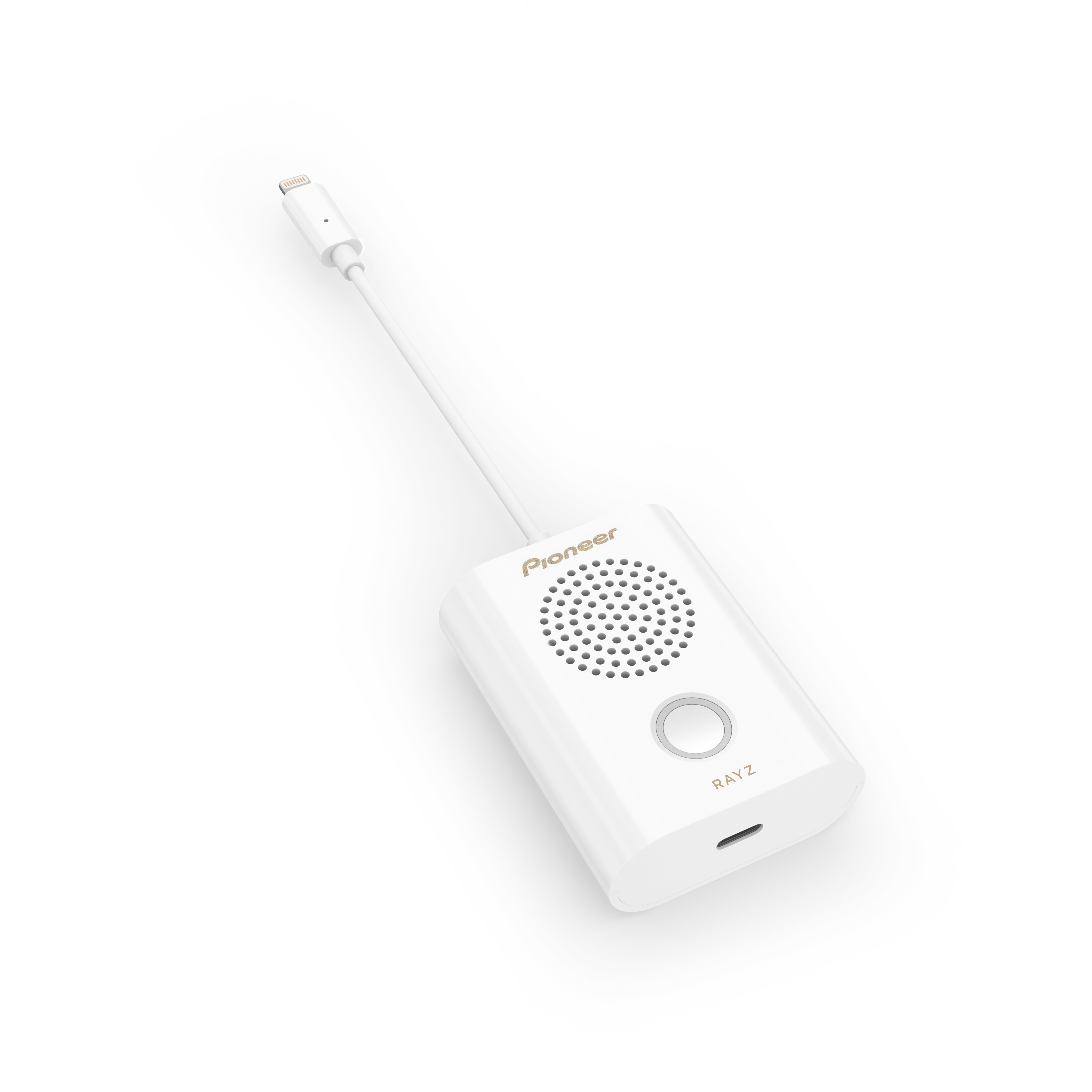Rayz Rally Conference Speaker – Pioneer Rayz
