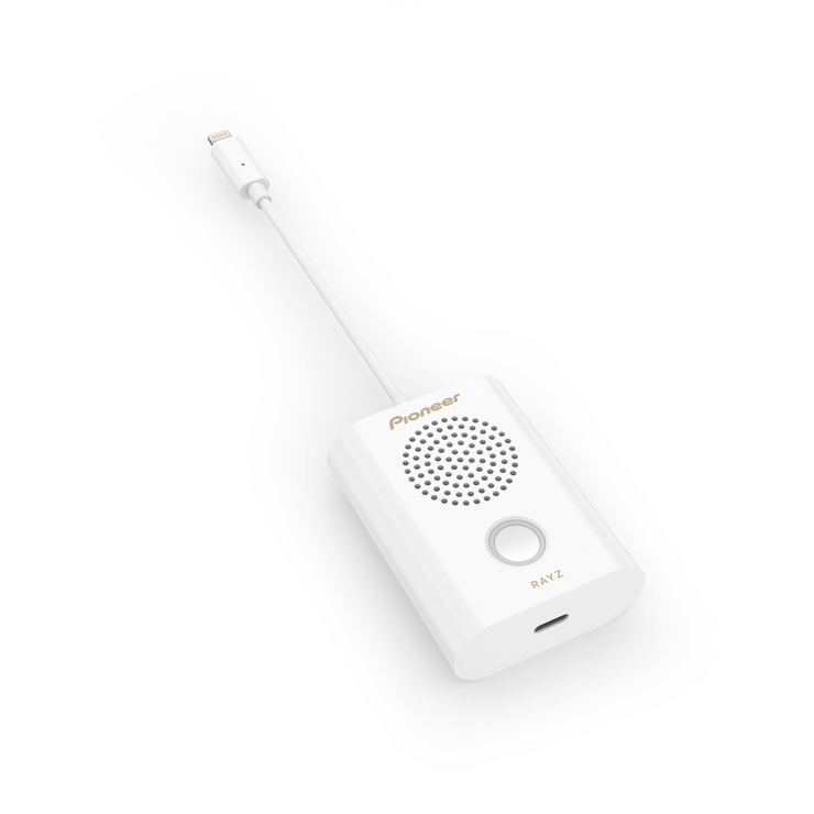 Pioneer 2024 rayz rally