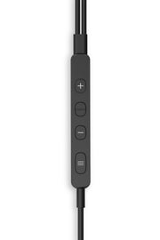 Rayz Plus Ebony