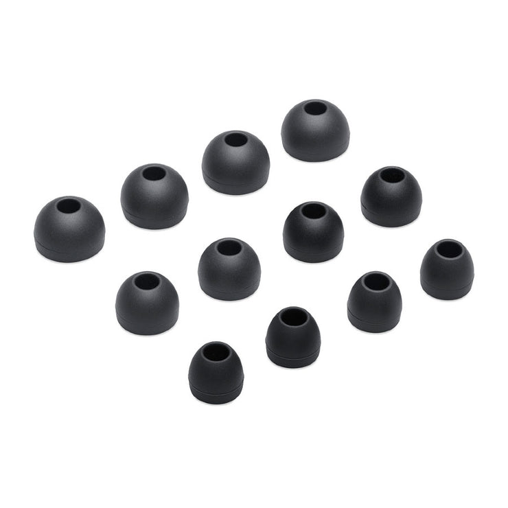Rayz Replacement Eartips